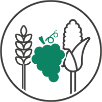 disease models crops